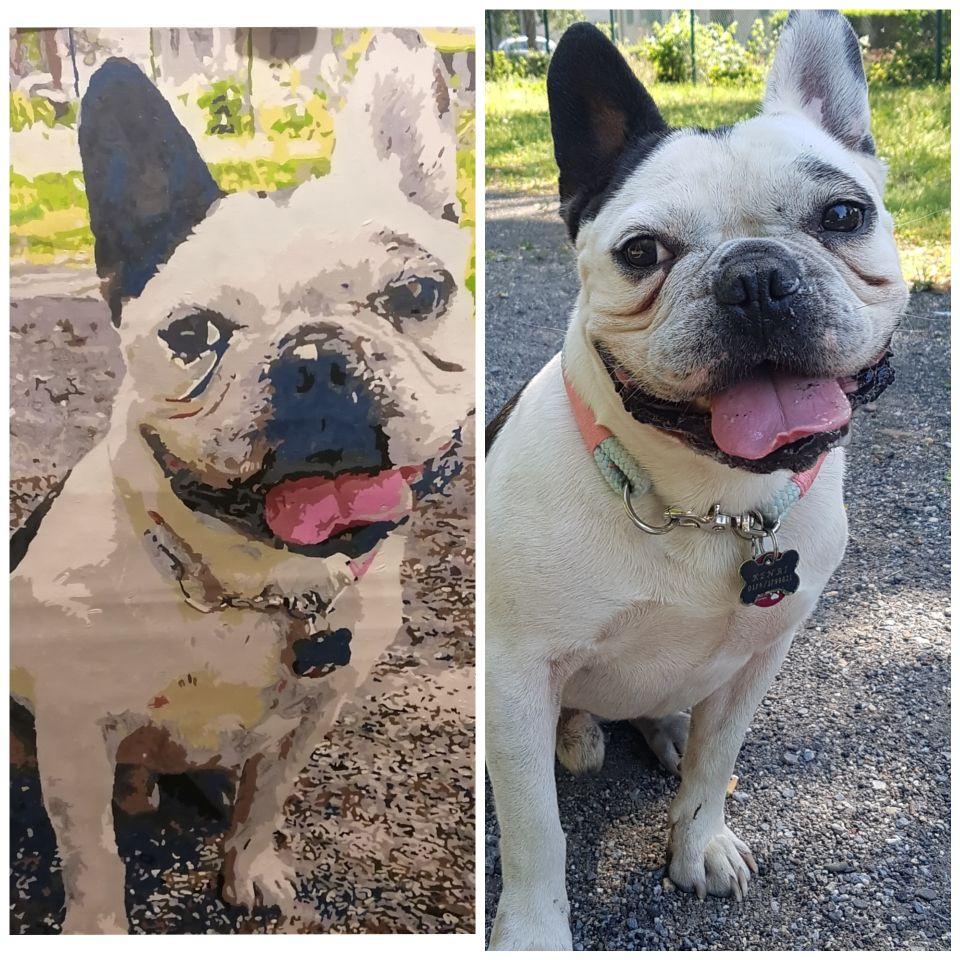 Set de pictură personalizat 